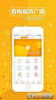 齐鲁卫视直播在线观看,实时掌握山东新闻动态，尽在指尖